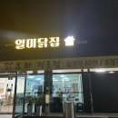 일미닭집 - 정읍시 태평4길 22 | 일미닭집