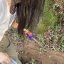 중동행복마을자치회 | [2025 농촌 관광 기자단] 공주 여행/ 국내 여행 추천/ 꽃내미풀꽃이랑마을/공산성