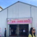 단양생태체육공원 1 | 2026단양 소백산 철쭉제 가족여행 후기 : 주차꿀팁,체험 총정리