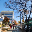 속초바다야 | 사당역 횟집 &lt;속초바다야&gt;(feat.겨울철 회)