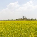 서부공원녹지사업소 이미지