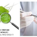 이소 티스토리