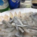 지혜상회 | 부산 광안리회포장 민락회타운 '울타리상회' 회 포장 후기
