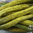 오이지 티스토리