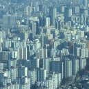 바글 경향신문