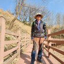 회남면사무소 이미지