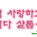 늘 봄 이미지