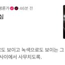 맹그로브 신설 이미지