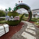 약초와 한방 이미지