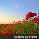 진주혁신한의원 이미지