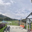 평창 알펜시아 리조트 :: 루지 , 오션700 워터파크 체험후기 (+가격, 운영시간 등 정보)