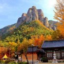 *****청송주왕산 단풍투어*****25년 11월13일(목)06시50(시청)07시(초전4거리) 이미지