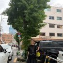 (주)대화지앤드티 | 앤드원더 실토트백,벌룬 롱스커트,웹하우스 티셔츠,나이키 쿠키니