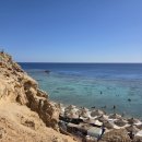 백로세탁소 | 251012-251019