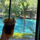 U can 태권도 | [🇹🇭 태국일기 - 치앙마이 편] 호스텔 lullaby, slyvis add oil bar, 반캉왓, 넘버 39 카페, 와로롯시장...