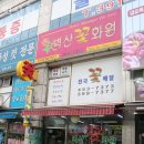 벽산화원