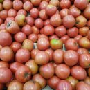 토마토청소 네이버블로그