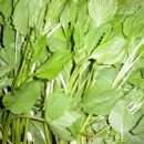 인근농장 이미지