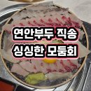 햇내로14번길 | 운서역횟집 회뜨는중 현지인 추천 맛집