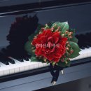 2561. 모차르트 / 피아노 협주곡 20번 D 단조(Mozart / Piano Concert No.20 in D miner) 이미지