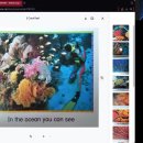 5 Coral Reef 이미지