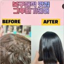 그루터기 이미지