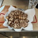 공유게스트하우스 | 제주도 게스트하우스 한달살이 후기 공유 (feat. 스탭 일상)