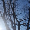 UR(순천시)-[승주로]-상-11 | 순천 파크골프장 할머니에 일상