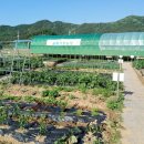 군위농장 이미지