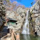 풀과꽃이야기 이미지