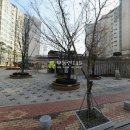 길주로573번길 이미지