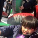 채움 관광농원 이미지