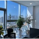 비트세무회계 | 약국전문세무사, ㅅㄹㅅ 직접 받을 수 있는 곳인지 확인하세요