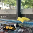 글램독통영 이미지