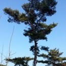 소나농장 이미지