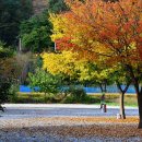 또와캠핑장 이미지