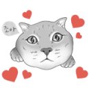 엉클스캣 이미지