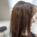 엔비헤어 envy hair
