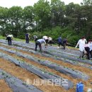 이현진농장 이미지