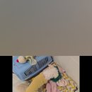 배변의기술 | 🐶 [땡희와 함께나누는하루] 안 찢어지는 생분해 배변봉투? 완스파파 어스풉백 실사용 후기! ⭐