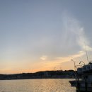 죽변 비소 제16호 | 경북 울진/죽변 죽변항에서 제일 싱싱한 회 드시고 싶으신 분~? (수협 수산물 회 직판장)