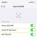 아이폰 졸라 전문가 잘 알들 있니ㅠㅠ? 애플스토어 페이스 아이디 관해 이미지
