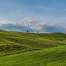 정관유치원 이미지