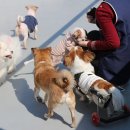 클릭한번 이미지