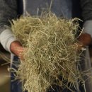 상하한아름목장 이미지