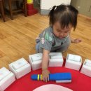 트니트니 이미지