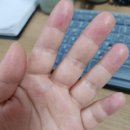 아토다이닝제주시청점 | 2025. 4월 넷째 주