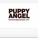 엔젤퍼피 이미지