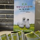 원기회복 부모님선물: 믿음건강원 백봉오골계진액 추천!