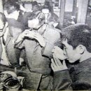 왕대포 - 고양시 덕양구 | 왕대포